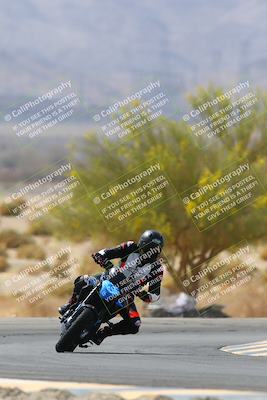 media/Apr-10-2022-SoCal Trackdays (Sun) [[f104b12566]]/Turn 5 Tree of Life (1040am)/